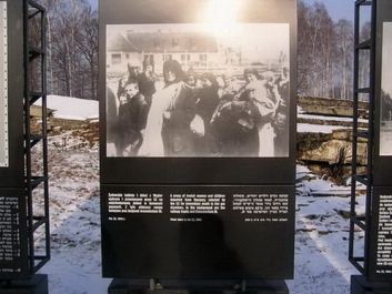 Auschwitz_30